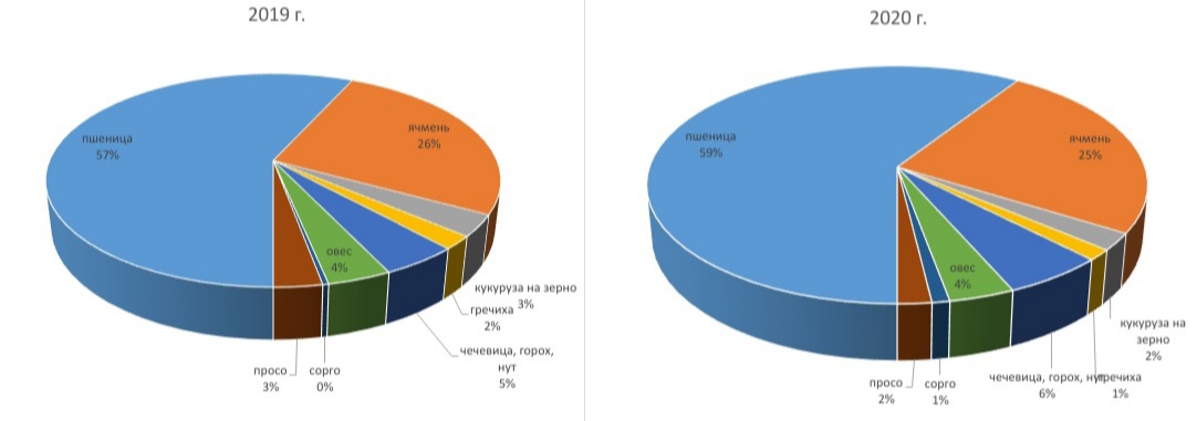 Структура сева зерновых культур в Оренбургской области в 2019–2020 гг.