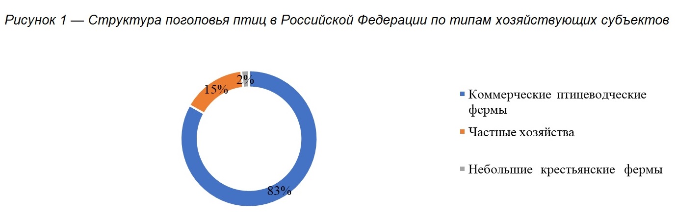 Поголовье птицы в РФ