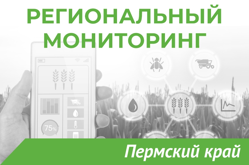Ознакомиться с полным текстом бюллетеня
