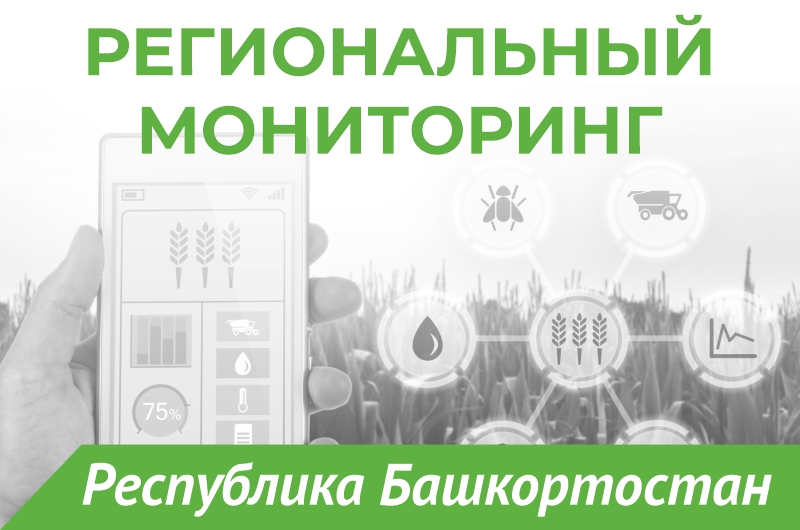 Ознакомиться с полным текстом бюллетеня