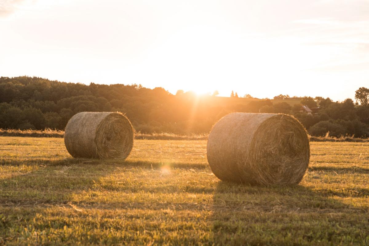 https://www.freepik.com/free-photo/beautiful-landscape-with-rolls-hays-sunset_5272830.htm
