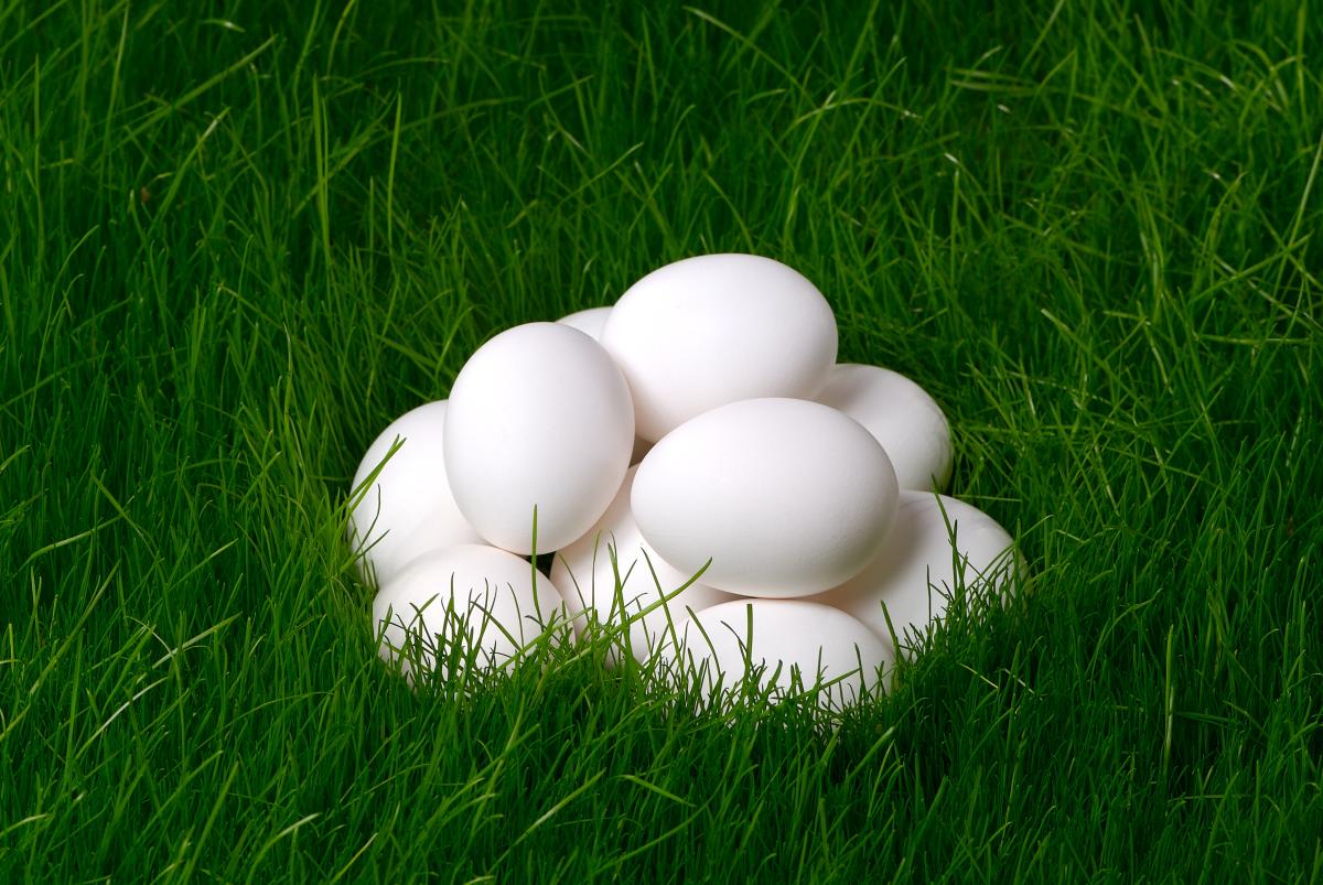 https://www.freeimages.com/ru/photo/easter-eggs-1375141
