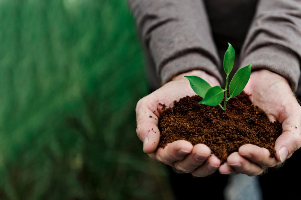 https://www.freepik.com/free-photo/environmental-conservation-plant-sustainability_15609565.htm#query=agriculture&from_query=%D1%81%D0%B5%D0%BB%D1%8C%D1%81%D0%BA%D0%BE%D0%B5%20%D1%85%D0%BE%D0%B7%D1%8F%D0%B9%D1%81%D1%82%D0%B2%D0%BE&position=29&from_view=se