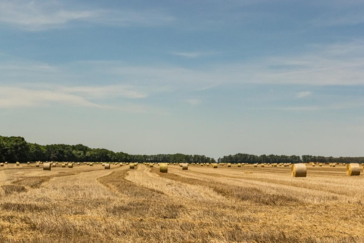 https://ru.freepik.com/free-photo/hay-rolls-in-the-field-in-a-rural-area_11301521.htm#page=2&query=%D1%81%D0%B5%D0%BD%D0%BE%20%D0%B2%20%D0%BF%D0%BE%D0%BB%D0%B5&position=19&from_view=search