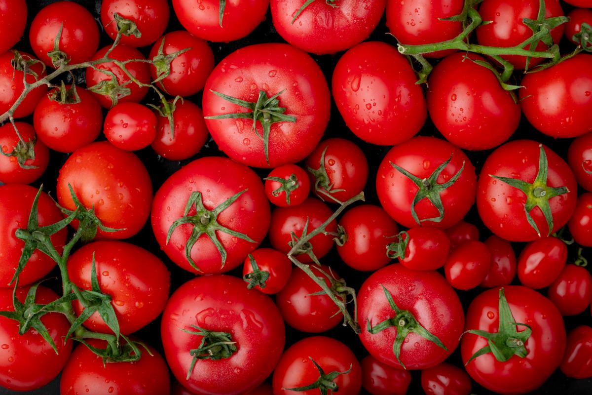 https://ru.freepik.com/free-photo/top-view-of-ripe-fresh-tomatoes-with-water-drops-on-black-background_7824762.htm#query=%D0%BF%D0%BE%D0%BC%D0%B8%D0%B4%D0%BE%D1%80%D1%8B&position=1&from_view=search