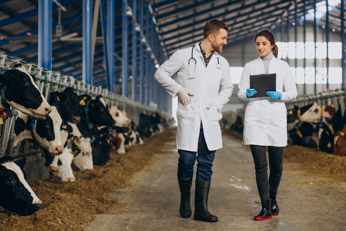 https://img.freepik.com/free-photo/veterinary-farm-walking-cowshed-checking-cows_1303-31023.jpg?t=st=1658729348~exp=1658729948~hmac=012ae716d0e65e573b4e019853e764f8fde4cd6ab50c04d00db9241e7636469f&w=1380