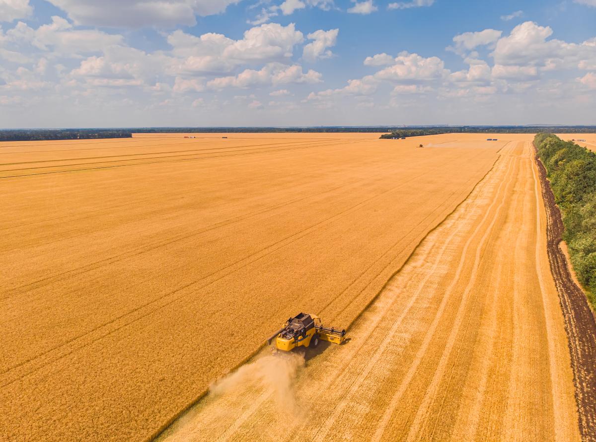 https://www.freepik.com/free-photo/aerial-view-summer-harvest-combine-harvester-harvesting-large-field_27254873.htm#query=wheat&from_query=%D0%BF%D1%88%D0%B5%D0%BD%D0%B8%D1%86%D0%B0&position=10&from_view=search