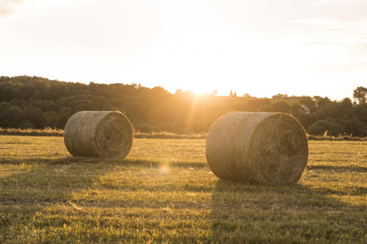 https://ru.freepik.com/free-photo/beautiful-landscape-with-rolls-of-hays-and-sunset_5272830.htm#query=%D1%81%D0%B5%D0%BD%D0%BE%20%D0%BF%D0%BE%D0%BB%D0%B5&position=2&from_view=search