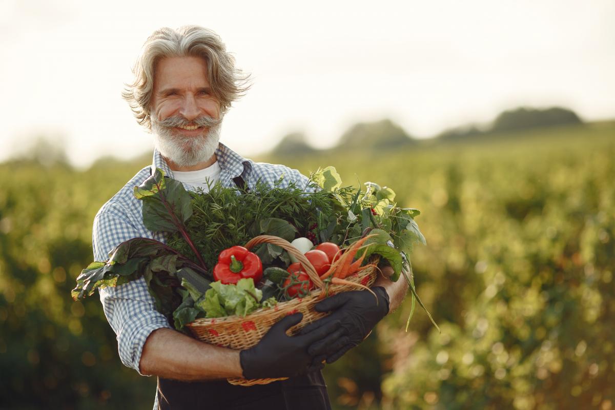 https://www.freepik.com/free-photo/close-up-old-farmer-holding-basket-vegetables-man-is-standing-garden-senior-black-apron_10065490.htm#query=agro&position=42&from_view=search