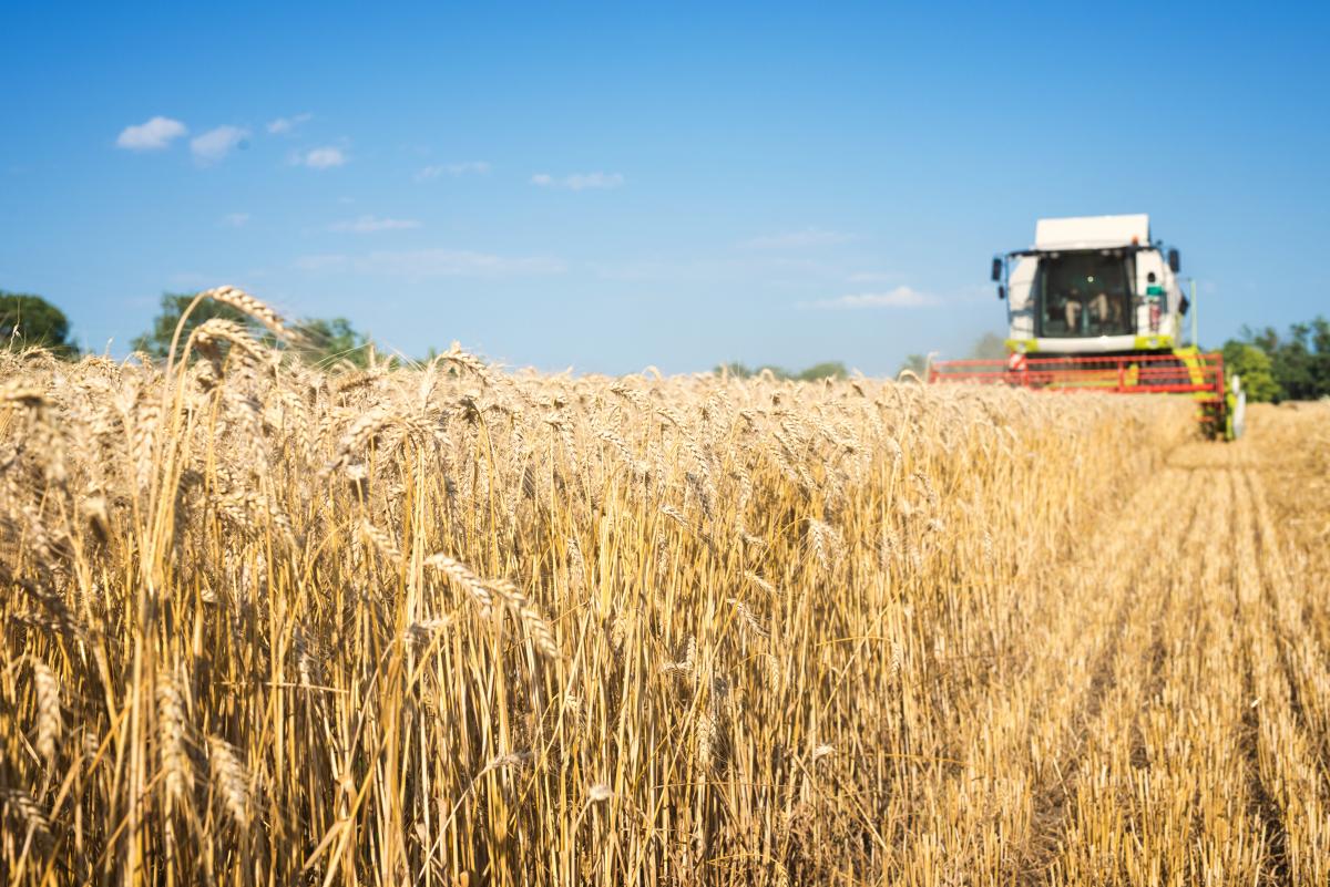 https://ru.freepik.com/free-photo/combine-harvester-working-in-the-wheat-field_11133944.htm#query=%D0%B7%D0%B5%D1%80%D0%BD%D0%BE&position=5&from_view=search">Image by aleksandarlittlewolf