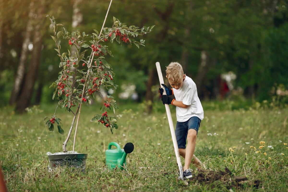 https://img.freepik.com/free-vector/farm-scene-with-farmer-boy-harvests-apples_1308-61585.jpg?t=st=1658730997~exp=1658731597~hmac=02636ea97afdc233be2429c207a0d69b8e21470fbe294e96a457e7776560279f&w=1380