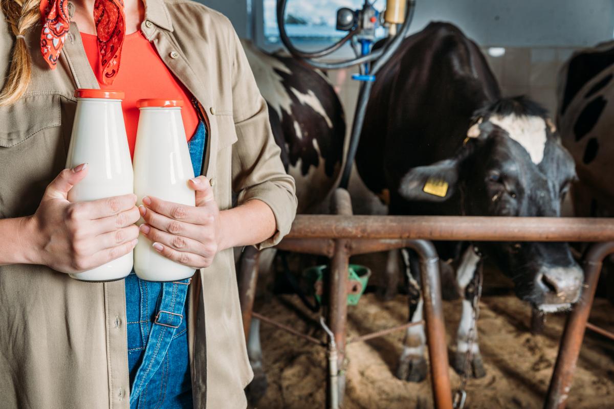 https://www.freeimages.com/ru/photo/farmer-with-fresh-milk-in-stall-4400624