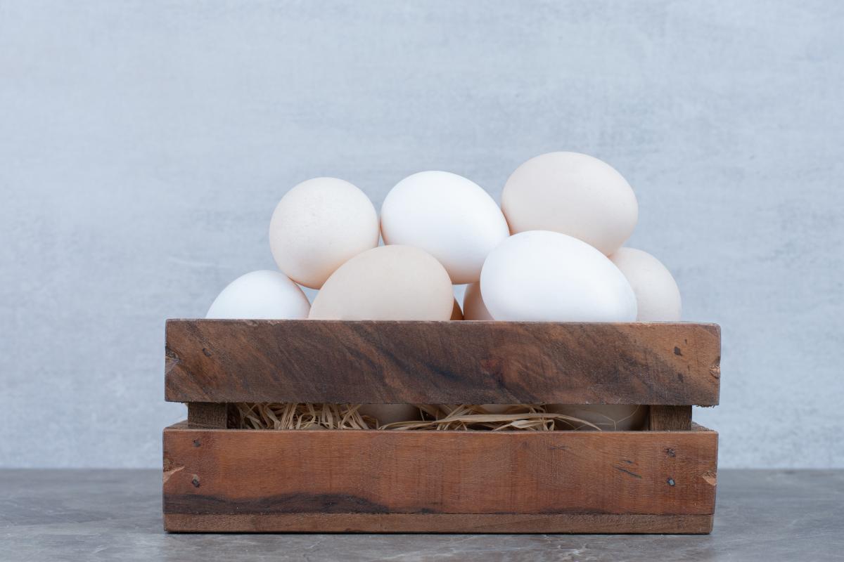https://ru.freepik.com/free-photo/a-lot-of-fresh-chicken-white-eggs-on-basket-high-quality-photo_15805987.htm#query=%D0%BA%D1%83%D1%80%D0%B8%D0%BD%D0%BE%D0%B5%20%D1%8F%D0%B9%D1%86%D0%BE&position=23&from_view=search