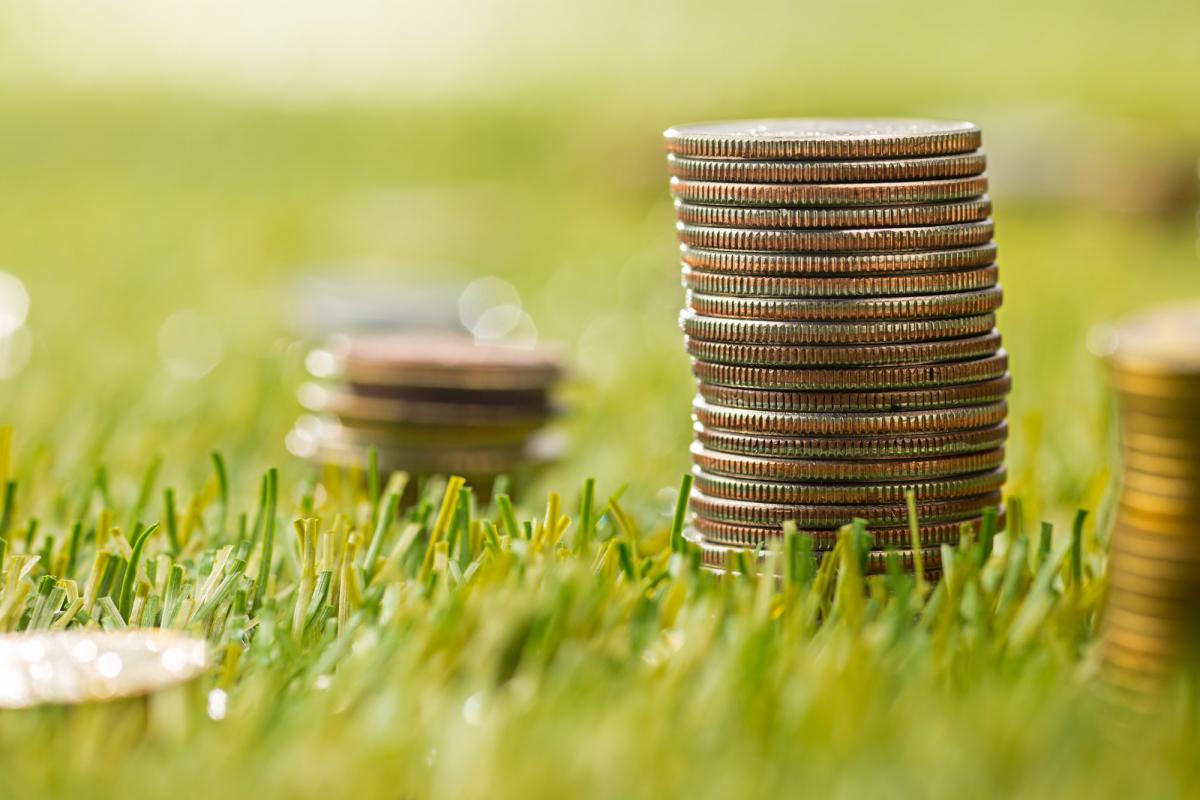 https://www.freepik.com/free-photo/columns-coins-grass_9668093.htm#query=agriculrure%20coins&position=7&from_view=search&track=ais
