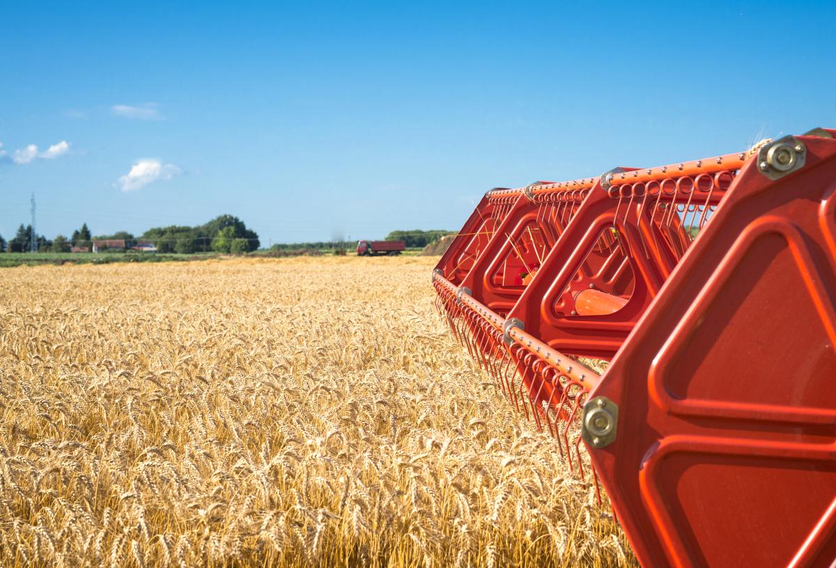 https://ru.freepik.com/free-photo/combine-harvesting-wheat-field_11133939.htm#query=%D1%83%D0%B1%D0%BE%D1%80%D0%BA%D0%B0%20%D0%BF%D0%BE%D0%BB%D0%B5&position=0&from_view=search"> 
