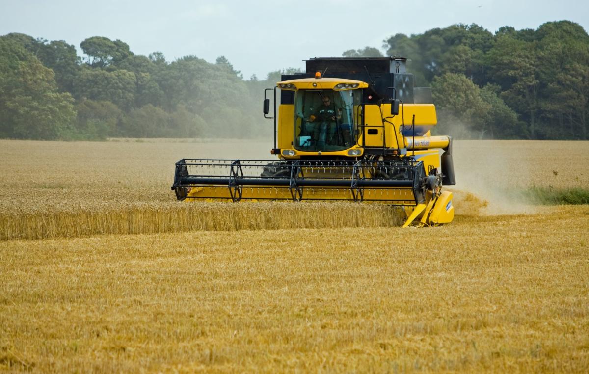 https://get.pxhere.com/photo/field-wheat-asphalt-food-harvest-crop-agriculture-wheat-field-close-up-details-beautiful-harvesting-harvester-threshing-rural-area-combine-harvester-grass-family-1105573.jpg