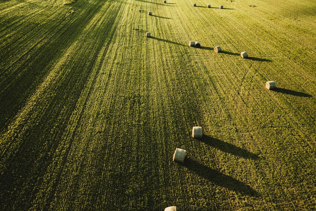 https://ru.freepik.com/free-photo/large-beautiful-agricultural-field-with-stacks-of-hay-shot-from-above_7810574.htm