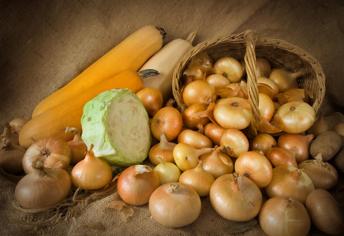 https://ru.freepik.com/free-photo/onion-in-basket-and-vegetable-marrow_1238731.htm#page=3&query=%D0%BE%D0%B2%D0%BE%D1%89%D0%B8%20%D0%B2%20%D0%BF%D0%BE%D0%BB%D0%B5&position=36&from_view=search
