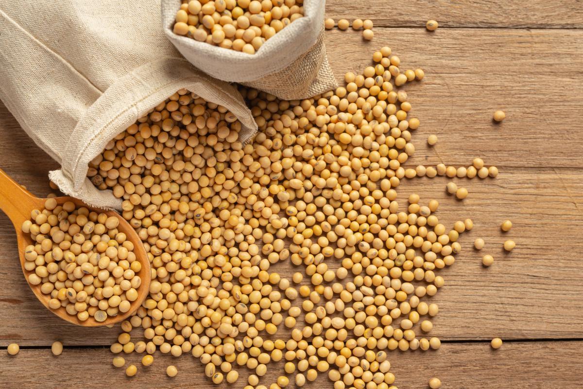 https://ru.freepik.com/free-photo/soybean-seeds-on-wooden-floor-and-hemp-sacks-food-nutrition-concept_10400236.htm#query=соя%20зерно&position=0&from_view=search