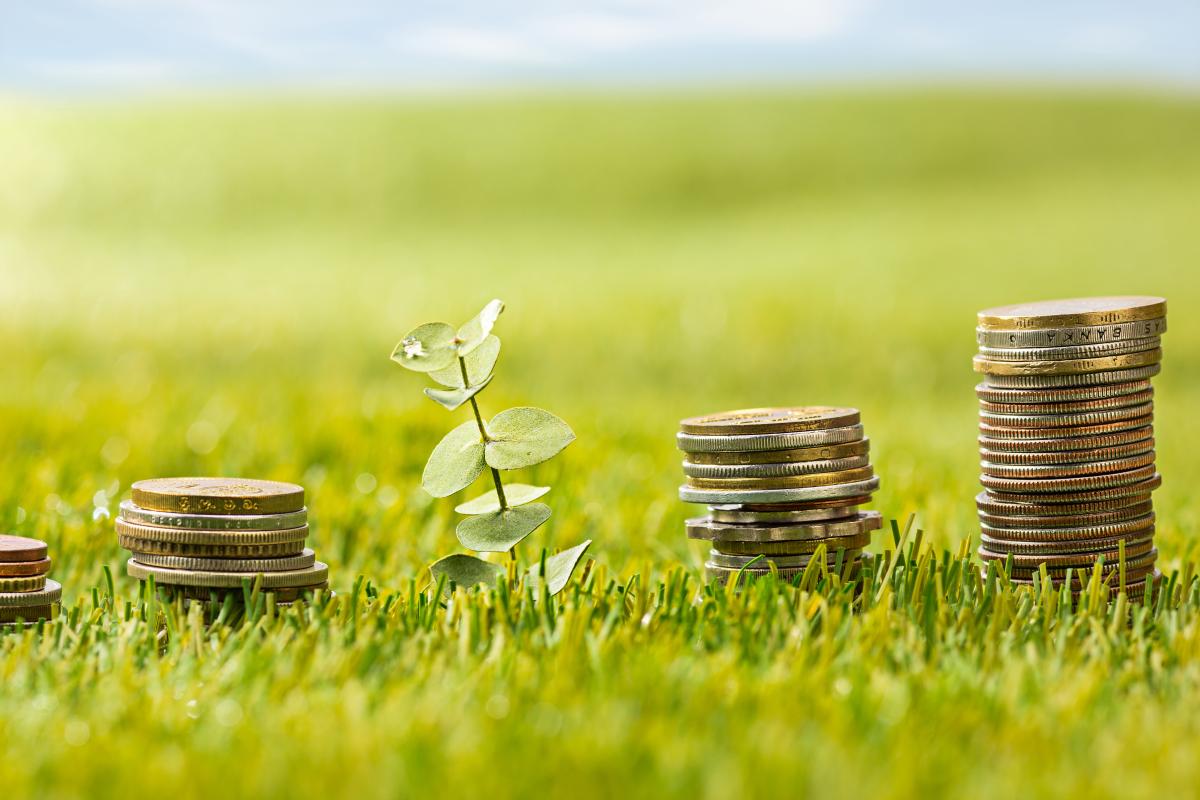 https://www.freepik.com/free-photo/columns-coins-grass_9479394.htm#query=%D1%84%D0%B8%D0%BD%D0%B0%D0%BD%D1%81%D1%8B%20%D1%81%D0%B5%D0%BB%D1%8C%D1%81%D0%BA%D0%BE%D0%B5%20%D1%85%D0%BE%D0%B7%D1%8F%D0%B9%D1%81%D1%82%D0%B2%D0%BE&position=9&from_view=search&tra