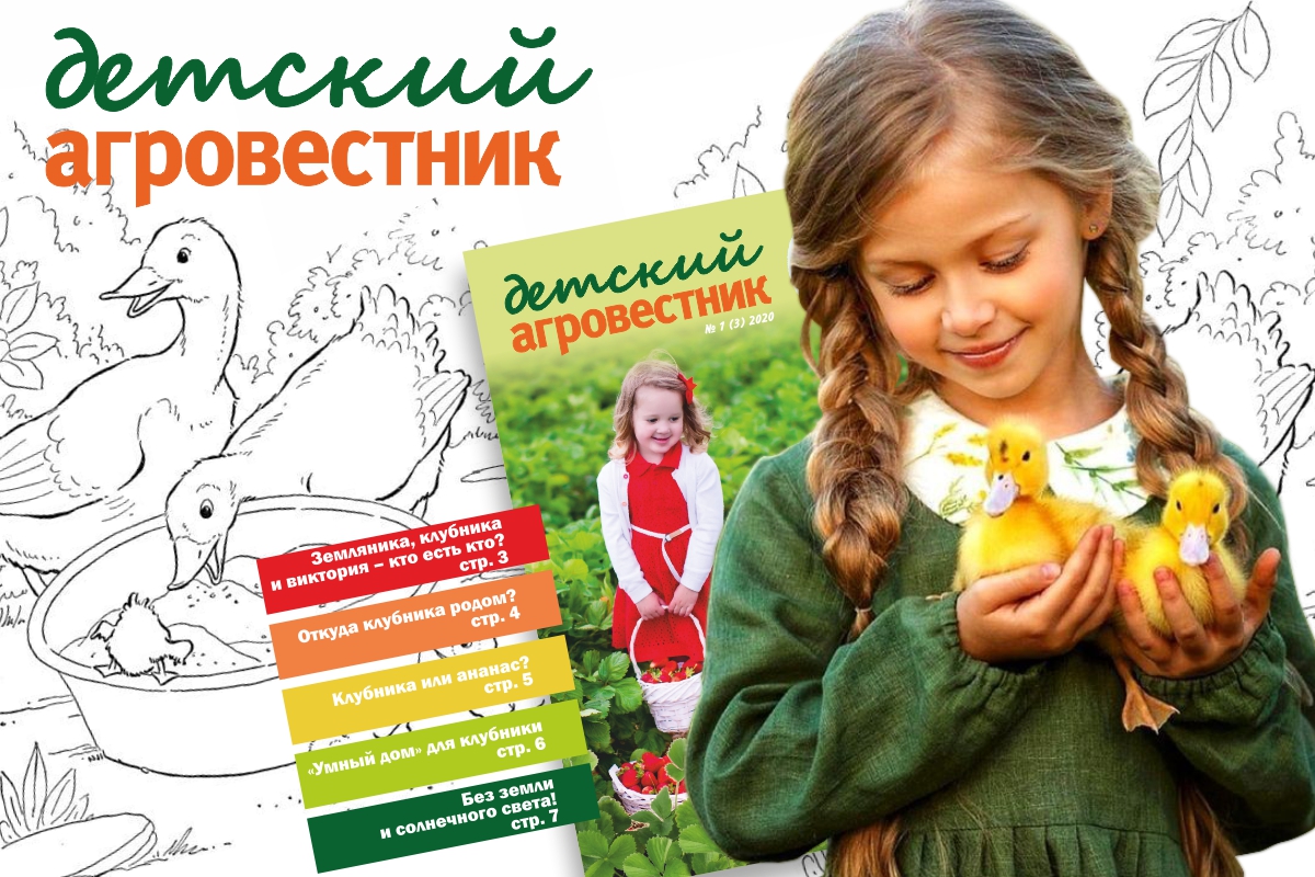 Обложка журнала