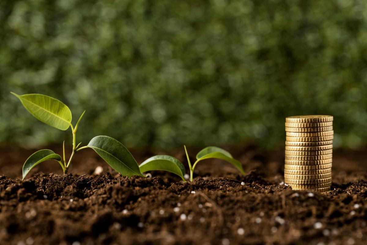 https://www.freepik.com/free-photo/coins-stacked-dirt-with-plants_11764128.htm#query=деньги%20сельское%20хозяйство&position=17&from_view=search&track=ais 
