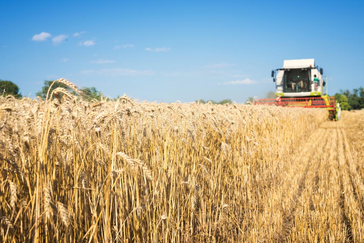 https://img.freepik.com/free-photo/combine-harvester-working-in-the-wheat-field_342744-567.jpg?w=1380&t=st=1667394920~exp=1667395520~hmac=f10763b017ed79d42acff5b1f0870b53bfae51243150116ff73cdc11b5a06cd6