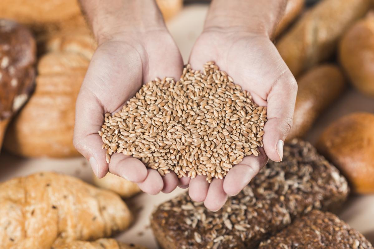 www.freepik.com/free-photo/handful-wheat-grains-baked-fresh-bread_2976563.htm#query=%D0%B7%D0%B5%D1%80%D0%BD%D0%BE%D0%B2%D1%8B%D0%B5&position=26&from_view=search&track=ais