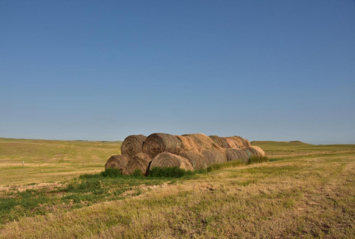 https://www.freepik.com/free-photo/rolled-baled-hay-stacked-up-farm-out-west_20636392.htm#page=7&query=%D1%81%D0%B8%D0%BB%D0%BE%D1%81&position=44&from_view=search&track=ais