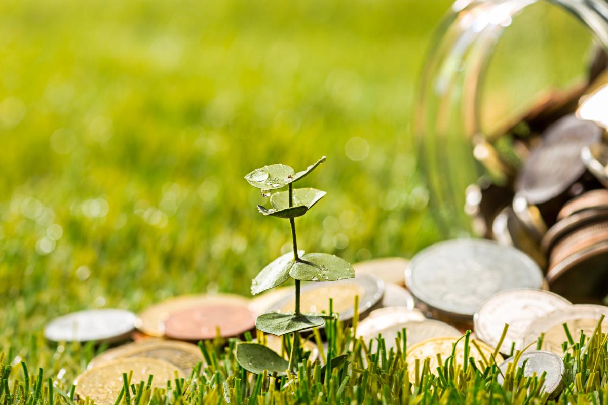 https://www.freepik.com/free-photo/plant-growing-coins-glass-jar-money-green-grass_7785434.htm#query=%D0%B4%D0%B5%D0%BD%D1%8C%D0%B3%D0%B8%20%D0%B8%20%D1%81%D0%B5%D0%BB%D1%8C%D1%81%D0%BA%D0%BE%D0%B5%20%D1%85%D0%BE%D0%B7%D1%8F%D0%B9%D1%81%D1%82%D0%B2%D0%BE&