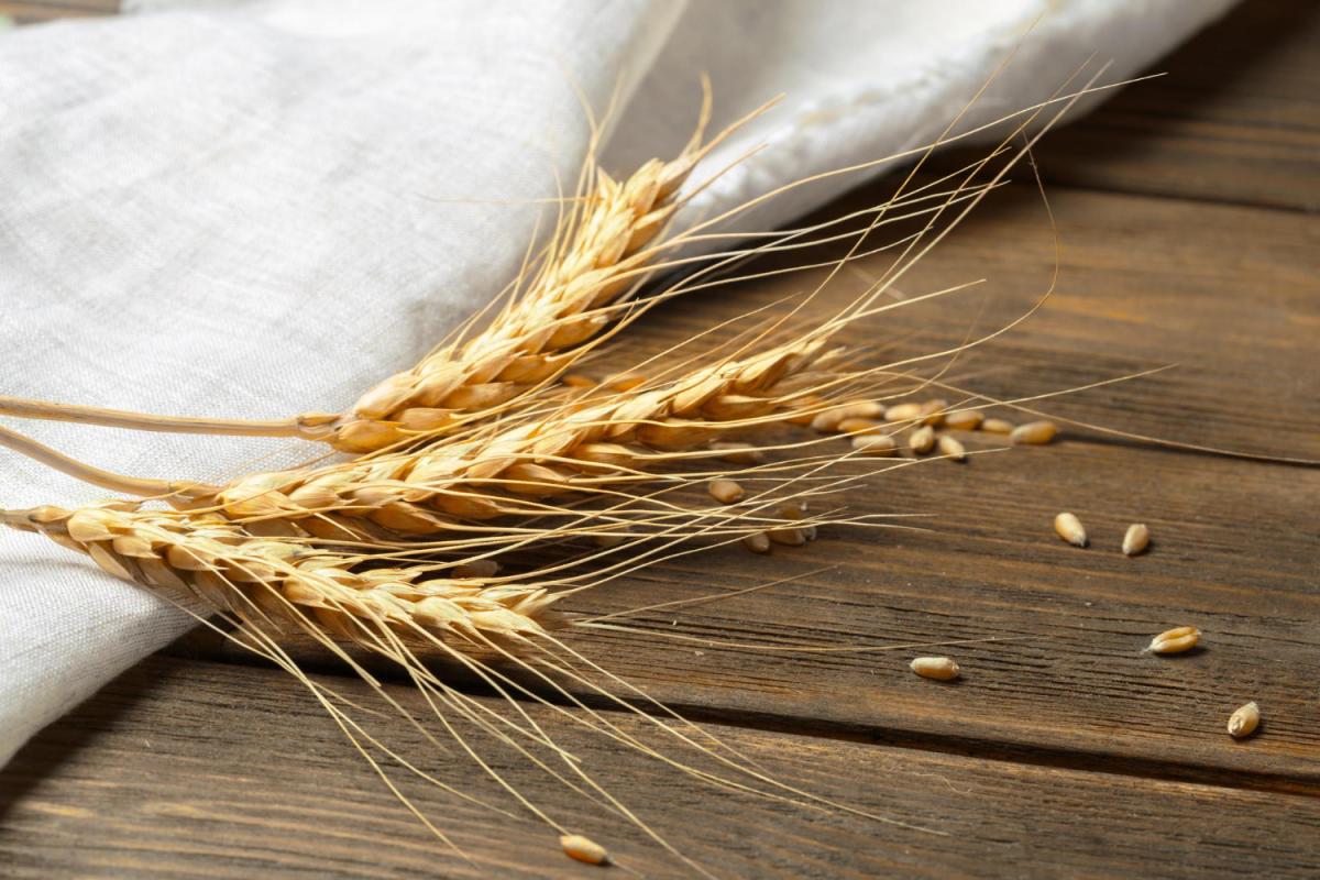 https://ru.freepik.com/free-photo/wheat-ears-on-the-wooden-table_20989836.htm#query=зерно&position=18&from_view=search&track=sph
