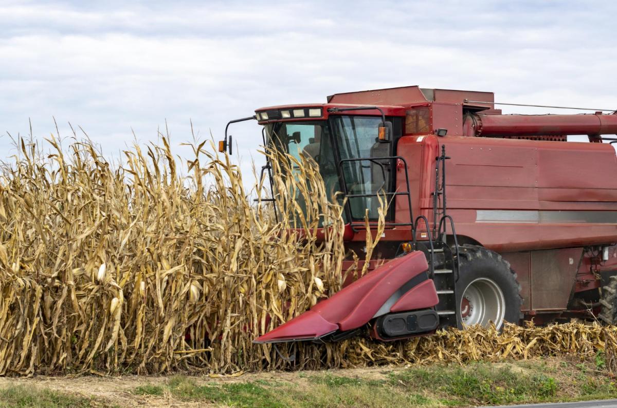https://www.freepik.com/free-photo/red-harvesting-machine-corn-farm_28739989.htm#query=уборка%20кукурузы&position=18&from_view=search&track=ais
