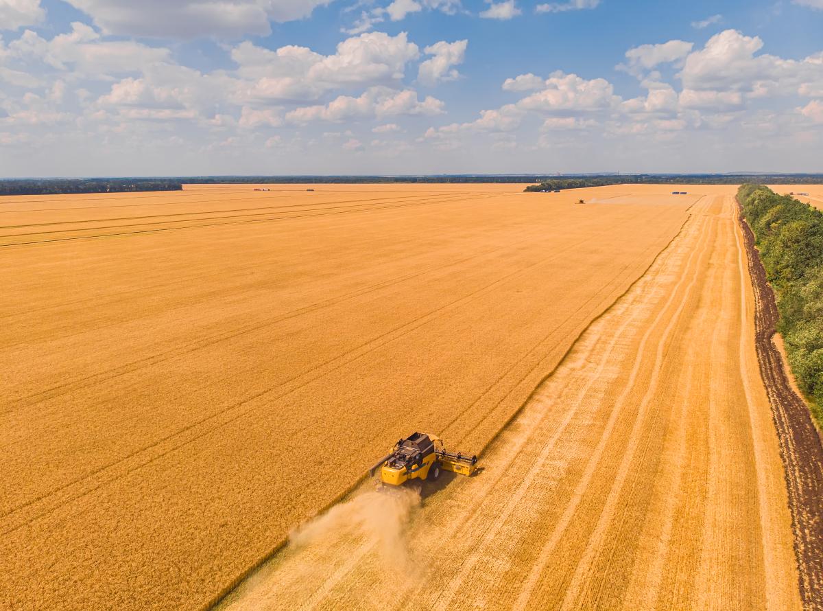 https://ru.freepik.com/free-photo/aerial-view-of-summer-harvest-combine-harvester-harvesting-large-field_27254873.htm#query=%D0%BA%D0%BE%D0%BC%D0%B1%D0%B0%D0%B9%D0%BD&position=4&from_view=search&track=sph