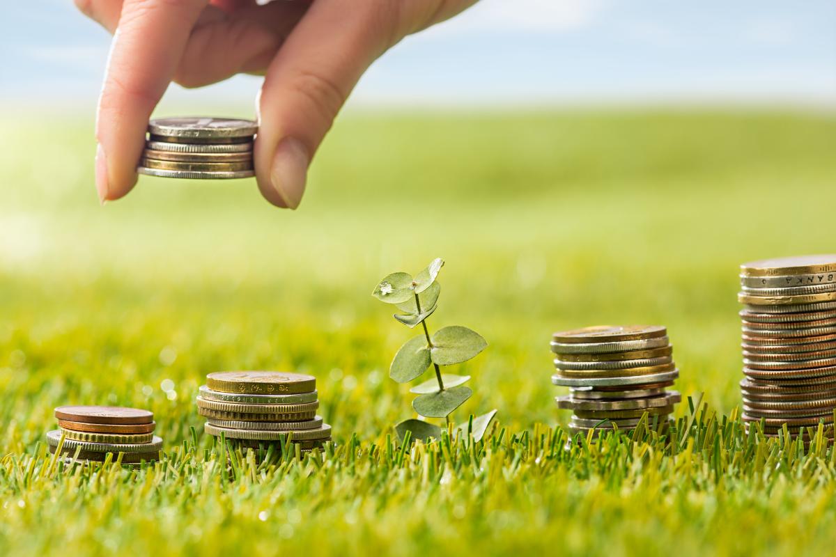 https://www.freepik.com/free-photo/columns-coins-grass_8364349.htm#page=4&query=%D1%80%D0%BE%D1%81%D1%82%20%D1%84%D0%B8%D0%BD%D0%B0%D0%BD%D1%81%D0%B8%D1%80%D0%BE%D0%B2%D0%B0%D0%BD%D0%B8%D1%8F%20%D1%81%D0%B5%D0%BB%D1%8C%D1%81%D0%BA%D0%BE%D0%B3%D0%BE%20%D1%