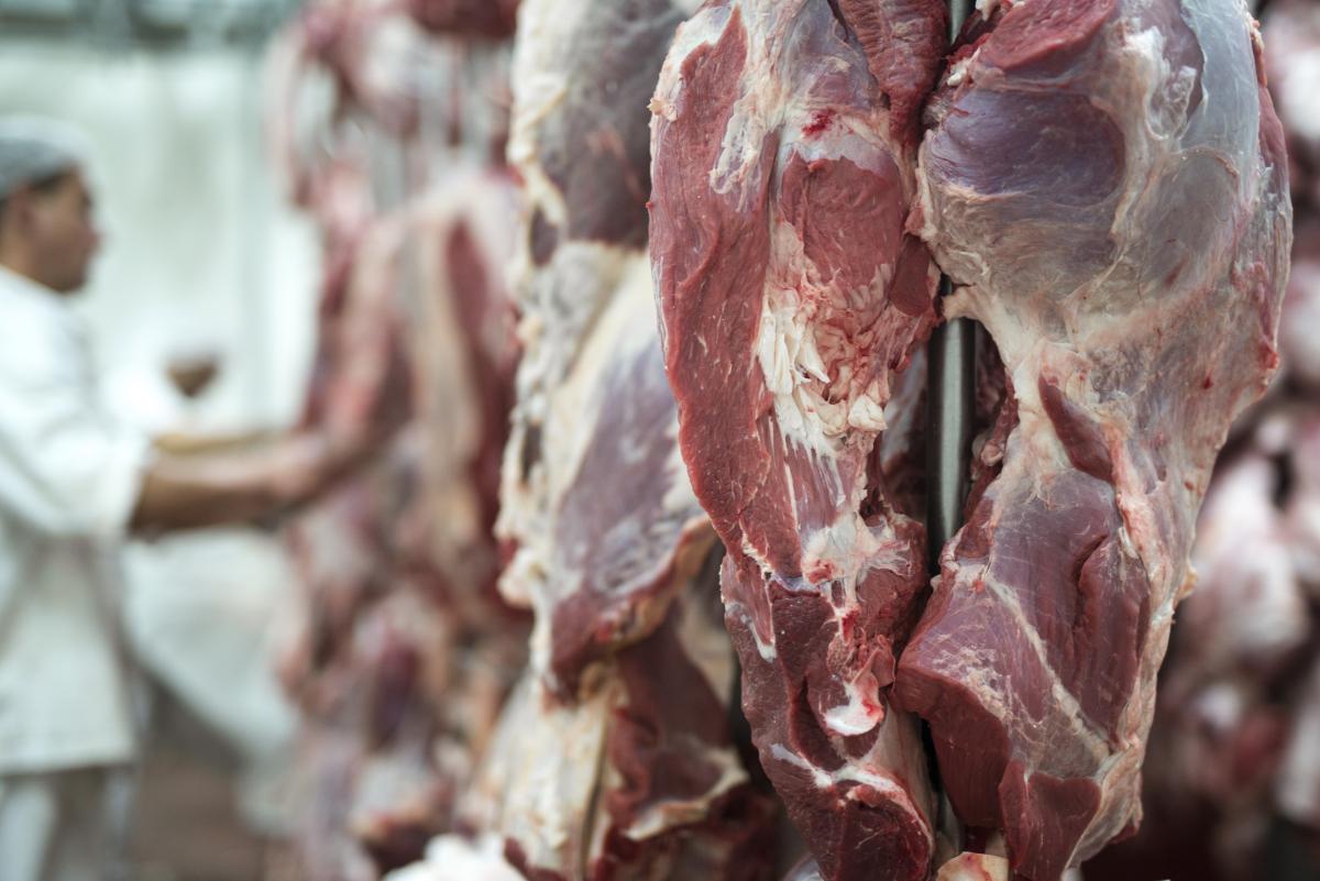 https://ru.freepik.com/free-photo/fresh-red-meet-and-butchery-worker-working-in-background_11135334.htm#query=%D0%B3%D0%BE%D0%B2%D1%8F%D0%B4%D0%B8%D0%BD%D0%B0%20%D1%81%D1%8B%D1%80%D0%B0%D1%8F&position=1&from_view=search&track=sph