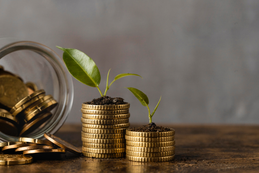 https://ru.freepik.com/free-photo/front-view-of-two-stacks-of-coins-with-jar-and-plants_11764443.htm#query=деньги&position=20&from_view=search&track=sph