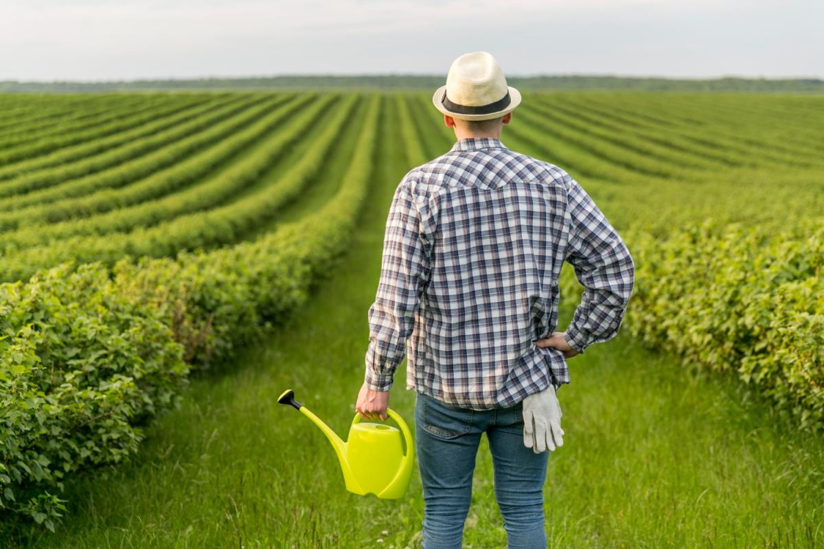 https://ru.freepik.com/free-photo/man-at-farmland-with-watering-can_8763008.htm#page=2&position=33&from_view=collections