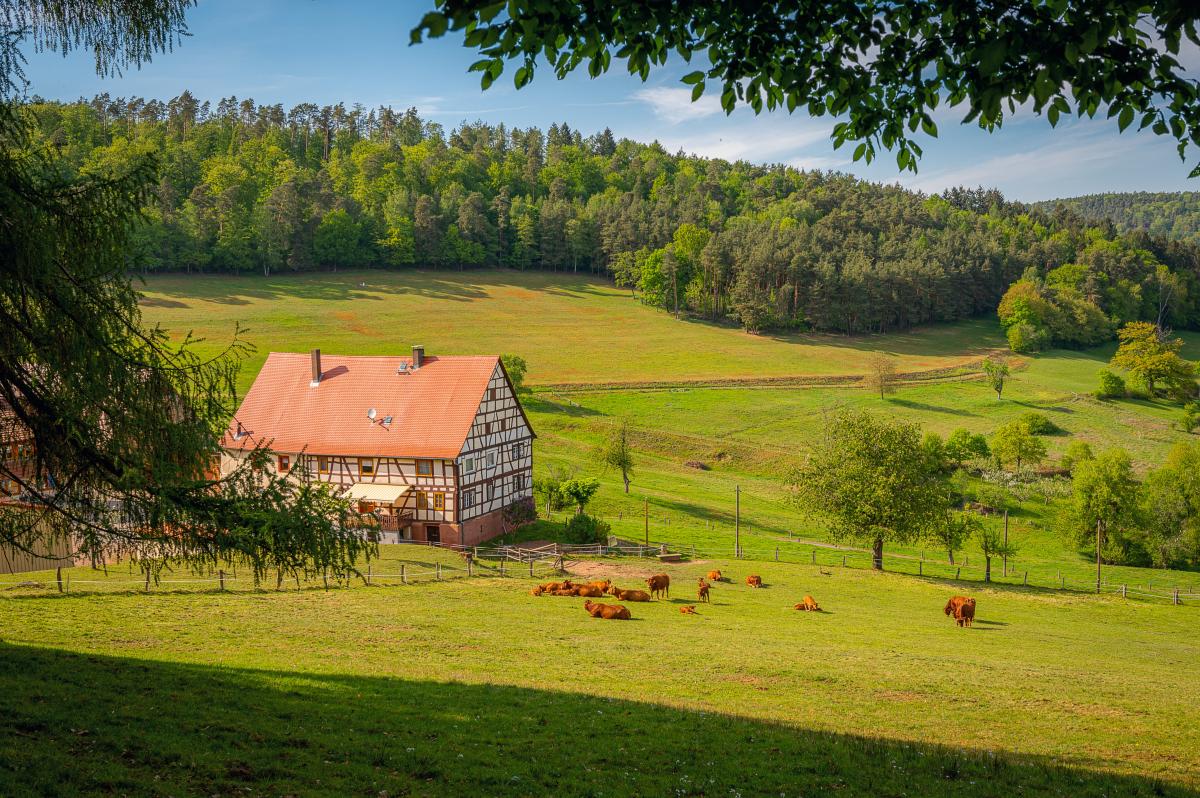 https://www.freepik.com/free-photo/what-beautiful-region-odenwald_11942272.htm#query=village&from_query=%D1%81%D0%B5%D0%BB%D0%BE&position=0&from_view=search&track=sph