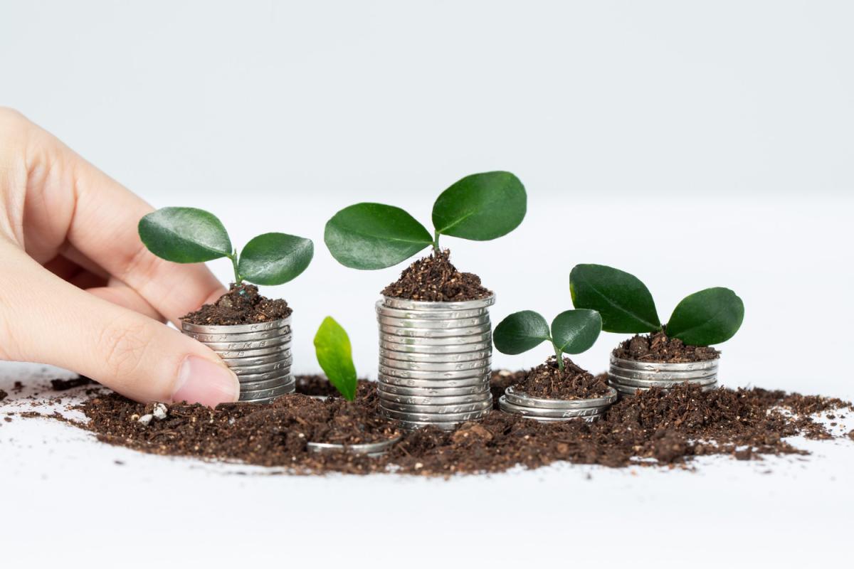 https://img.freepik.com/free-photo/front-view-of-plant-growing-from-golden-coins_23-2148803910.jpg?w=1380&t=st=1673878533~exp=1673879133~hmac=e0b2cfef4e98a88afefd89371f2f50b15af338479c23b53be4aa1da2c6b0a795