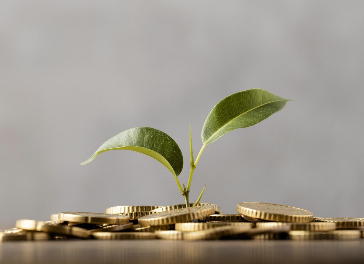 https://ru.freepik.com/free-photo/front-view-of-plant-growing-from-golden-coins_11764451.htm#query=%D1%84%D0%B8%D0%BD%D0%B0%D0%BD%D1%81%D0%B8%D1%80%D0%BE%D0%B2%D0%B0%D0%BD%D0%B8%D0%B5&position=1&from_view=search&track=sph