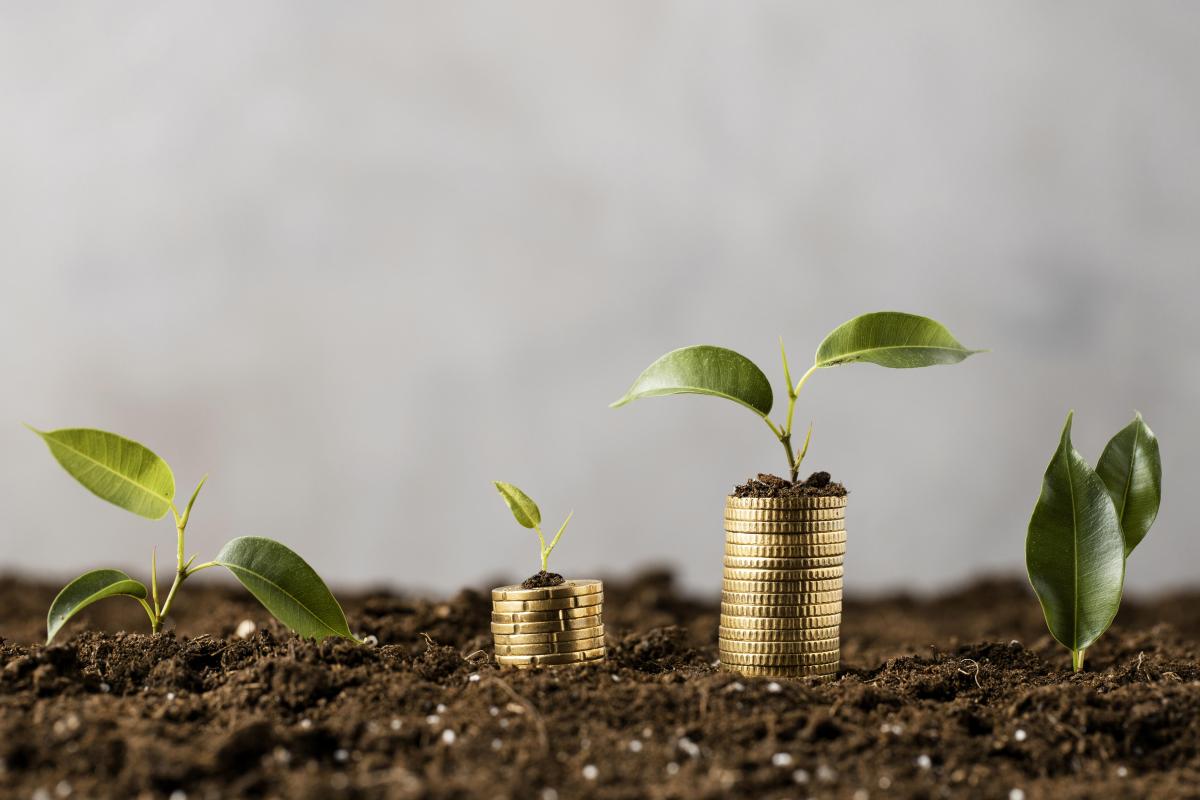 https://ru.freepik.com/free-photo/plants-with-coins-stacked-on-dirt_11764129.htm#query=%D0%B4%D0%B5%D0%BD%D1%8C%D0%B3%D0%B8%20%D1%80%D0%B0%D1%81%D1%82%D1%83%D1%82&position=22&from_view=search&track=ais