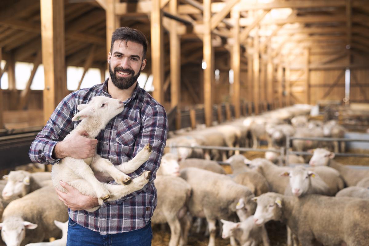 https://ru.freepik.com/free-photo/portrait-of-successful-farm-worker-rancher-standing-in-sheep-stable-farmhouse-and-holding-lamb-domestic-animal_11036661.htm#page=2&query=%D1%84%D0%B5%D1%80%D0%BC%D0%B5%D1%80%D1%8B&position=47&from_view=search&track=sph