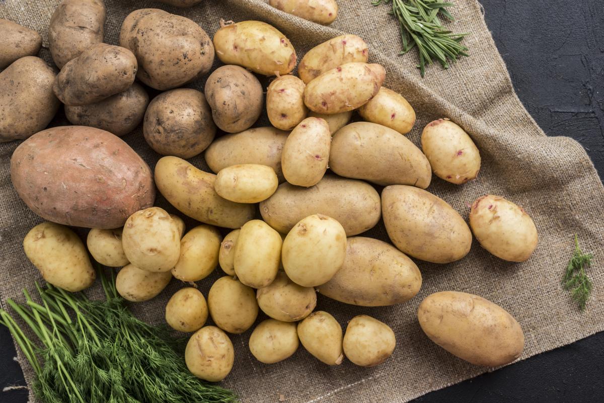 https://ru.freepik.com/free-photo/top-view-raw-potatoes-on-table_8123608.htm#query=%D0%BA%D0%B0%D1%80%D1%82%D0%BE%D1%84%D0%B5%D0%BB%D1%8C&position=3&from_view=search&track=sph