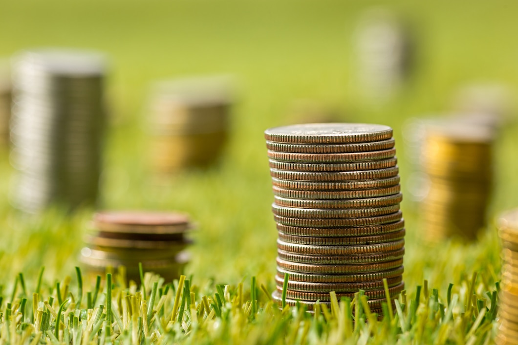 https://ru.freepik.com/free-photo/columns-of-coins-on-grass_9367722.htm