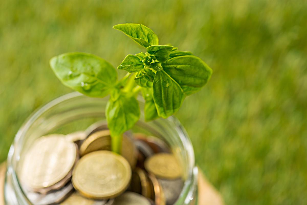 https://www.freepik.com/free-photo/woman-s-hand-is-holding-many-coins_5508835.htm#page=4&query=деньги%20зерно&position=16&from_view=search&track=ais