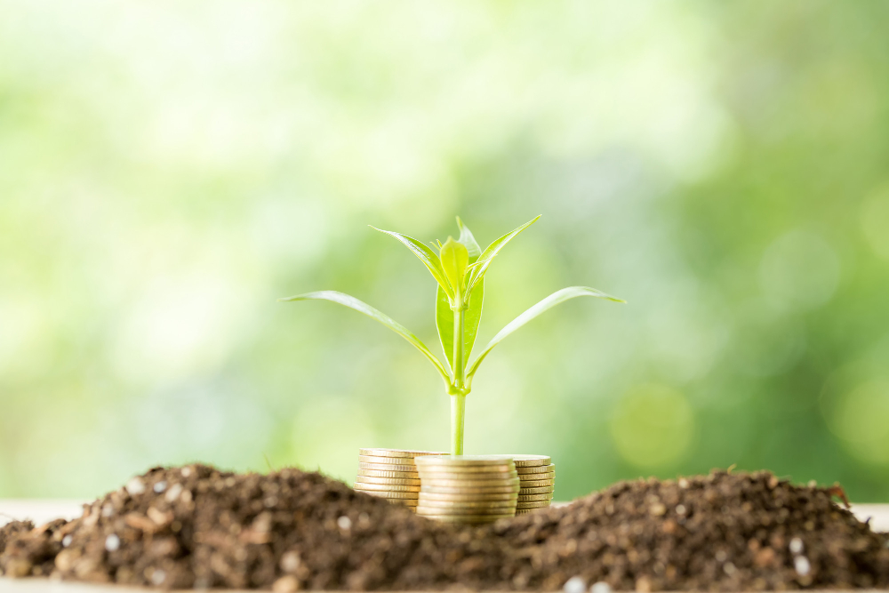 https://www.freepik.com/free-photo/planting-trees-coin-pile-with-sunlight_5508841.htm#page=4&query=money%20green&position=4&from_view=search&track=ais