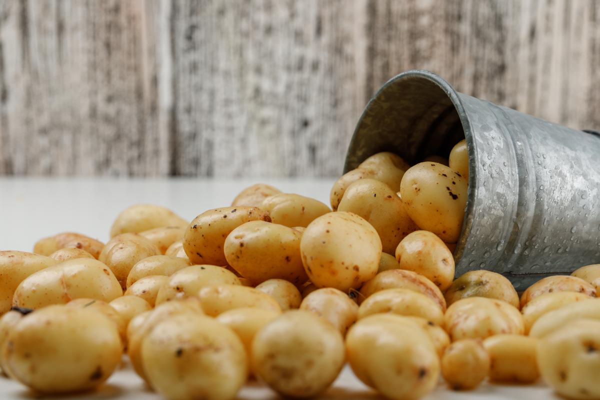 https://ru.freepik.com/free-photo/scattered-potatoes-from-a-mini-bucket-on-white-and-grungy-wooden-wall-side-view_8381919.htm#query=%D1%83%D0%B1%D0%BE%D1%80%D0%BA%D0%B0%20%D0%BA%D0%B0%D1%80%D1%82%D0%BE%D1%84%D0%B5%D0%BB%D1%8F%20%D0%B8%20%D0%BE%D0%B2%D0%BE