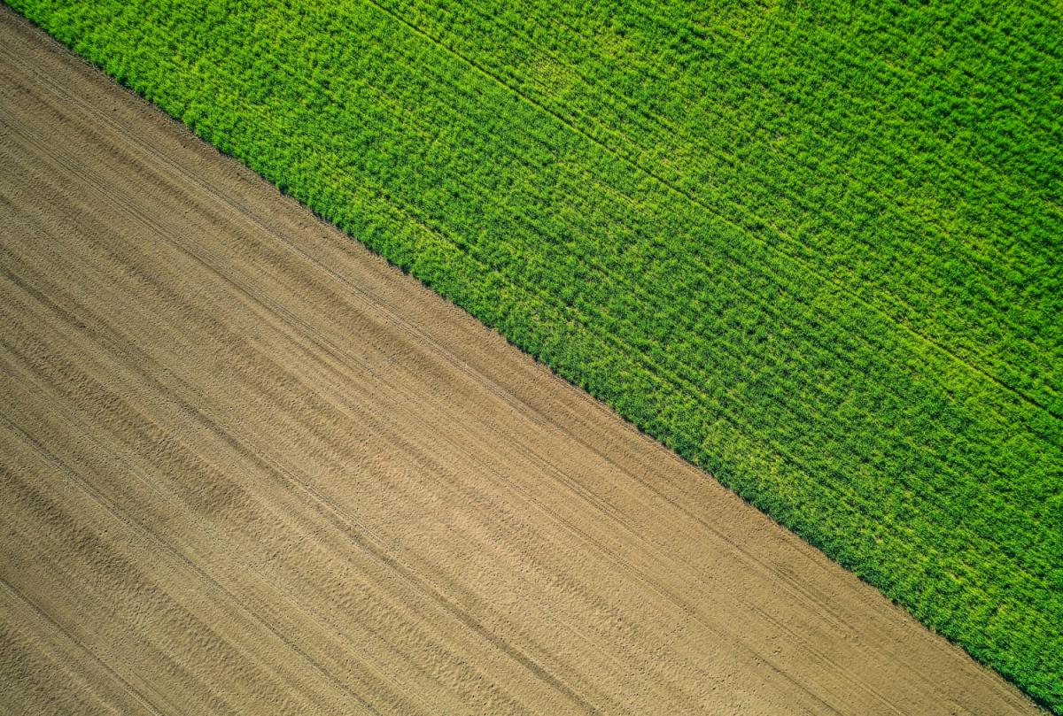 https://ru.freepik.com/free-photo/beautiful-aerial-shot-of-a-green-agricultural-field_7957310.htm#page=2&query=%D0%B2%D1%81%D0%BF%D0%B0%D1%88%D0%BA%D0%B0%20%D0%BF%D0%BE%D0%BB%D1%8F&position=7&from_view=search&track=location_fest_v1