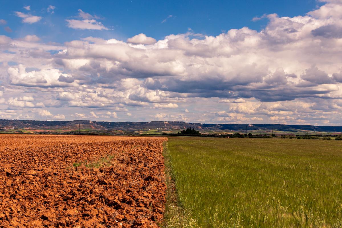 https://ru.freepik.com/free-photo/horizontal-shot-of-sunflower-cropland-and-a-field-under-the-cloudy-sky_23035971.htm#query=%D0%B2%D1%81%D0%BF%D0%B0%D1%88%D0%BA%D0%B0%20%D0%BF%D0%BE%D0%BB%D1%8F&position=47&from_view=search&track=ais
