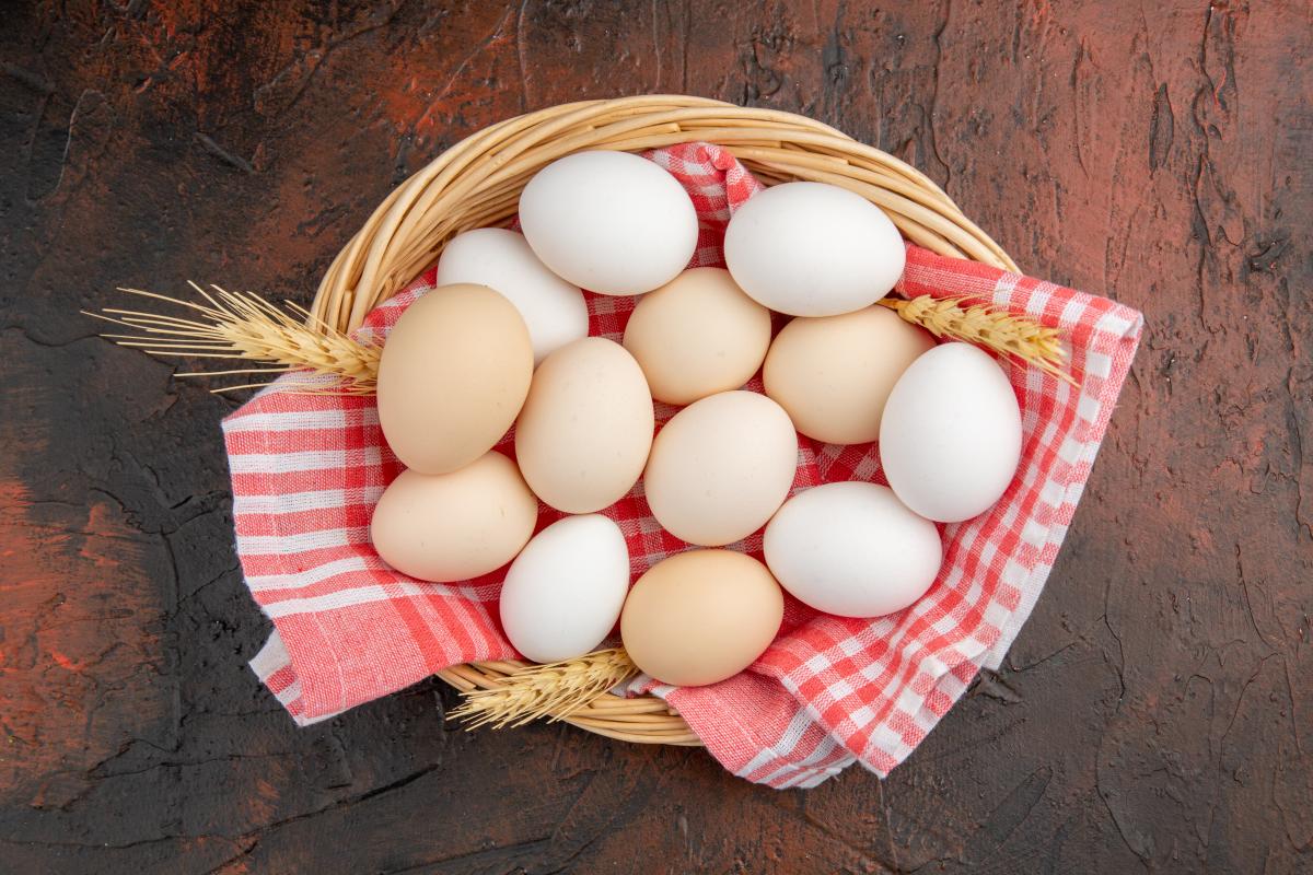 https://ru.freepik.com/free-photo/top-view-white-chicken-eggs-inside-basket-with-towel-on-dark-table_17064412.htm?query=https%20img%20freepik%20com%20free-photo%20top-view-white-chicken-eggs-inside-basket-with-towel-on-dark-table_140725-137481%20jpg%20w=1